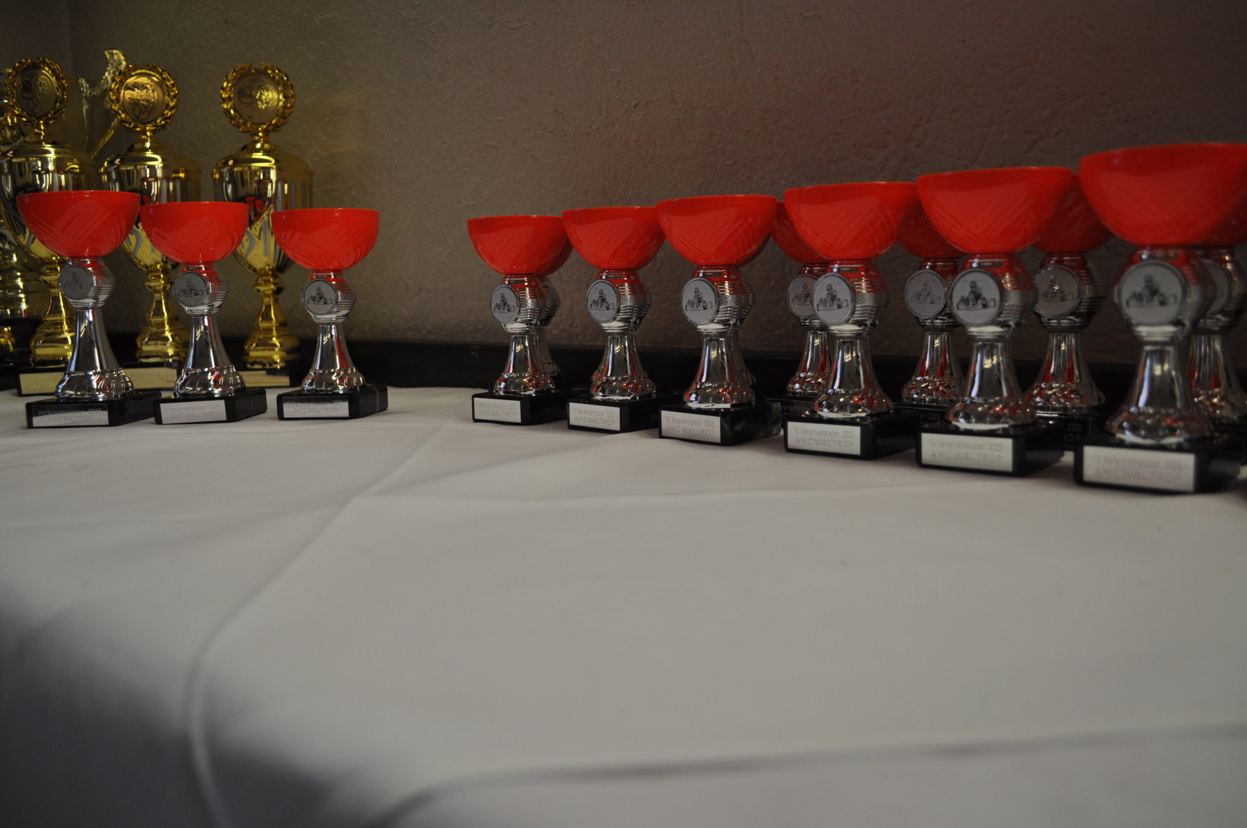 Jahreshauptversammlung und Vereinsmeister 2025